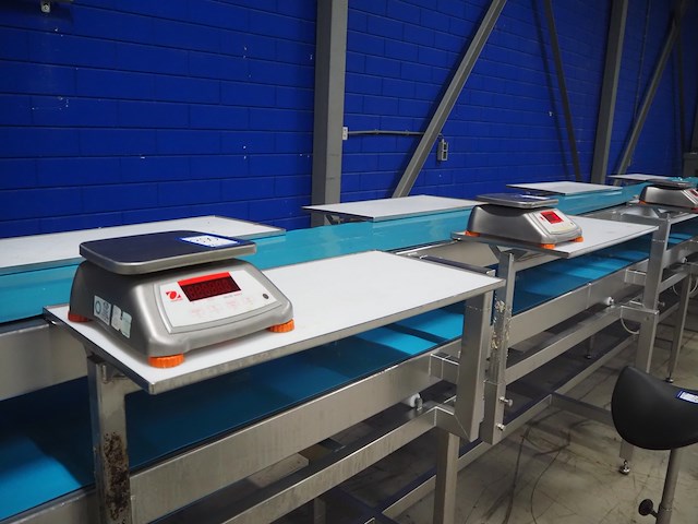 Nn sorting belt - afbeelding 12 van  12