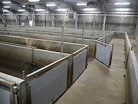 Nn stables - afbeelding 9 van  22