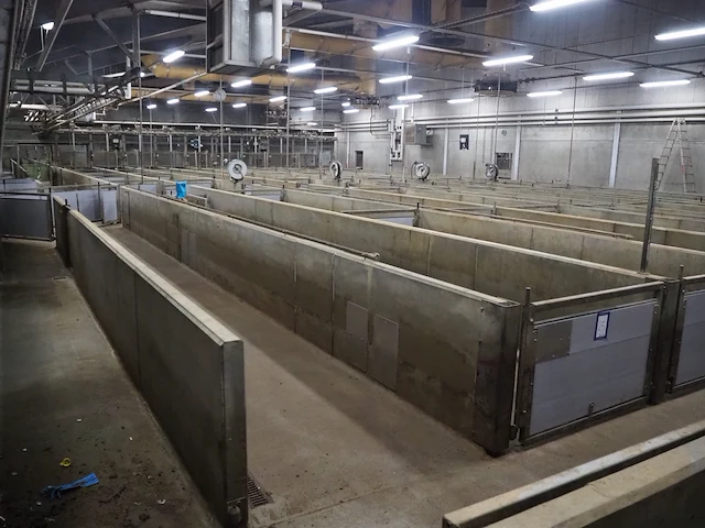 Nn stables - afbeelding 1 van  22