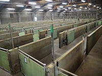 Nn stables - afbeelding 2 van  12