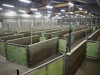 Nn stables