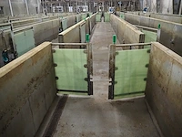 Nn stables - afbeelding 9 van  12