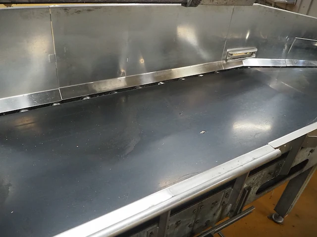 Nn transport belt for shackling pigs - afbeelding 10 van  11