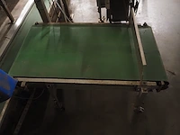 Nn transport belt - afbeelding 4 van  4