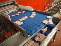 Nn transport belt - afbeelding 2 van  4