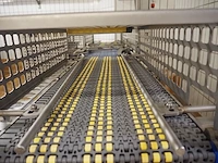 Nn transport belt - afbeelding 9 van  13