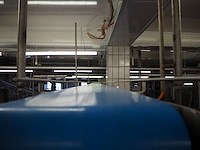 Nn transport belt - afbeelding 5 van  5