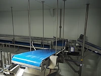 Nn transport belt - afbeelding 2 van  6