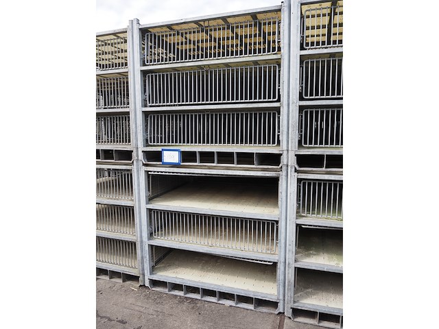 Nn transport cages for turkey - afbeelding 3 van  5