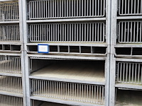 Nn transport cages for turkey - afbeelding 3 van  5