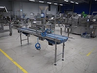 Nn tray filling belt - afbeelding 5 van  12