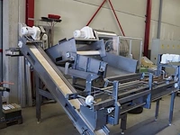 Nn vibrating gutter with sorting belt - afbeelding 12 van  19