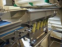 Nn vibrating gutter - afbeelding 6 van  10