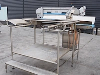 Nn weighing belt - afbeelding 1 van  12