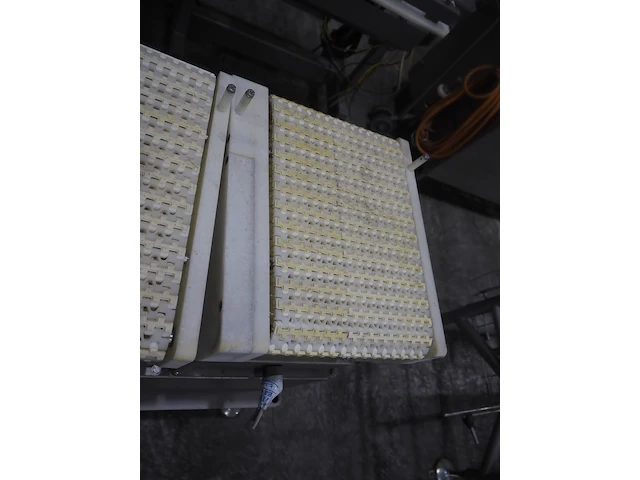 Nn weighing belt - afbeelding 6 van  7