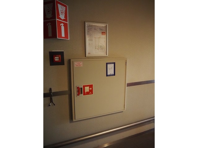 Noha - afbeelding 2 van  4