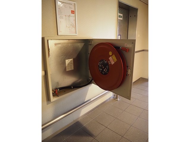 Noha - afbeelding 3 van  4