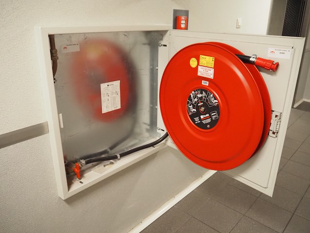 Noha - afbeelding 2 van  5