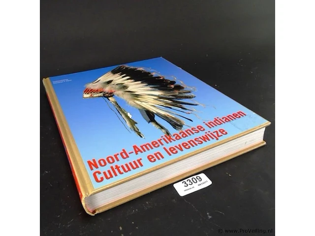 Noord-amerikaanse indianen. cultuur en levenswijze - afbeelding 1 van  5