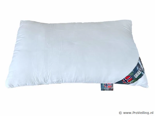 Norwegian white - premium hoofd kussen 70x40x15cm - afbeelding 1 van  3