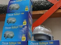 Nova bulleye 100 lampen - 6 stuks - afbeelding 1 van  4