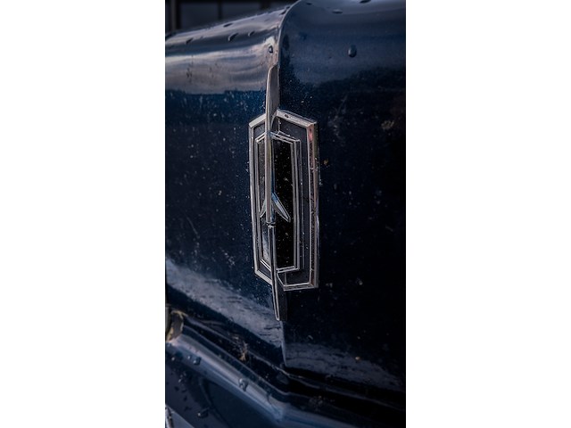 Oldtimer personenauto, oldsmobile, delta 88 royale, 1974 - afbeelding 3 van  41