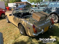 Oldtimer - afbeelding 12 van  18