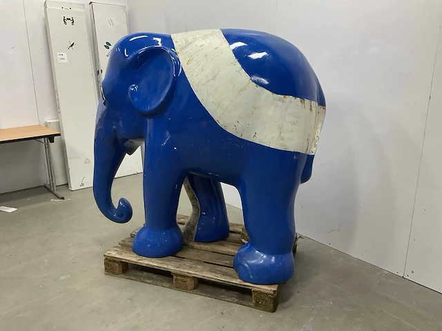 Olifant - afbeelding 4 van  10