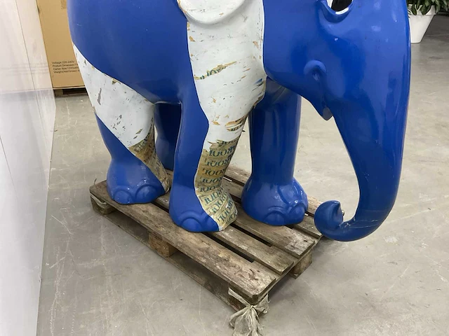 Olifant - afbeelding 9 van  10