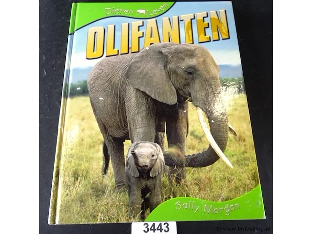 Olifanten - afbeelding 1 van  5