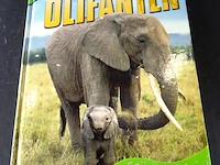 Olifanten - afbeelding 1 van  5