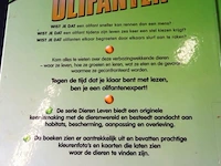 Olifanten - afbeelding 2 van  5