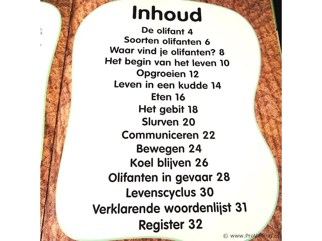 Olifanten - afbeelding 4 van  5