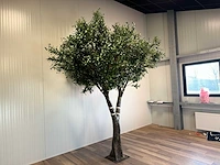 Olijf boom kunstboom - afbeelding 13 van  18