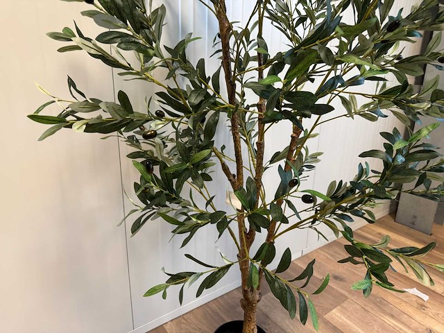 Olive tree kunstplant (2x) (180cm hoog) - afbeelding 9 van  13
