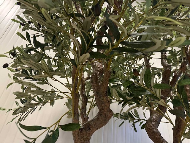 Olive tree kunstplant (2x) (280cm hoog) - afbeelding 9 van  20