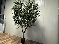 Olive tree kunstplant (2x) (280cm hoog) - afbeelding 15 van  20
