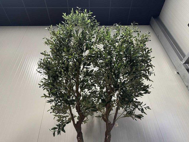 Olive tree kunstplant (2x) (280cm hoog) - afbeelding 16 van  20