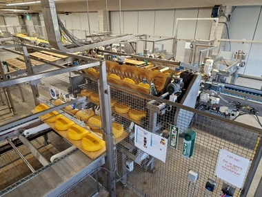 Online veiling kaasverwerking, rijping, verpakking en overige inventaris wegens sluiting frieslandcampina in born (nl)