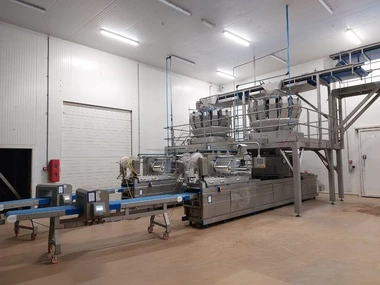 Online veiling productie- en verpakkingslijn voor verse frites in hulshout (be)