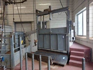 Online veiling varkens- en runderslachtlijn in zellingen-retzbach (de)