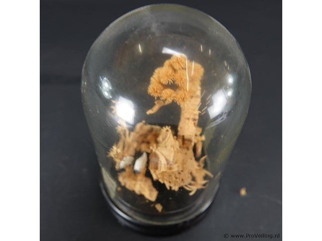 Oosters diorama onder stolp - afbeelding 5 van  5