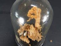 Oosters diorama onder stolp - afbeelding 5 van  5