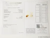 Opal 42.84ct gra certified - afbeelding 8 van  8