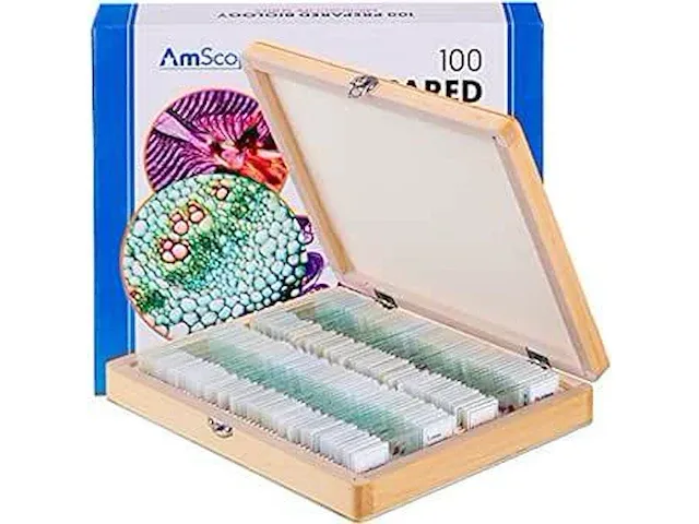 Opbergdoos met 100 microscoop dekglaasjes met verschillende platen,dieren,… - afbeelding 1 van  1