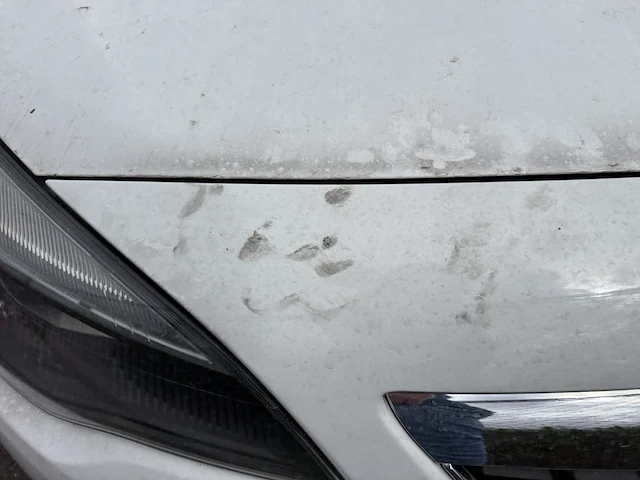 Opel astra, 2011 - afbeelding 18 van  29