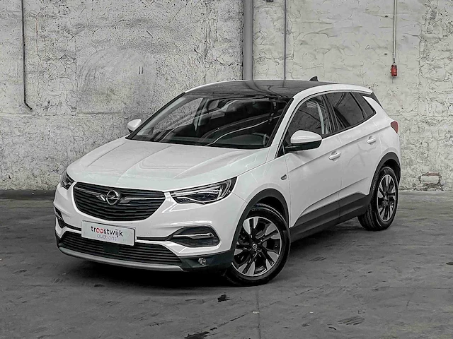 Opel grandland x 1.2 turbo bus. ex. 131pk 2019 (origineel-nl), g-520-dn - afbeelding 4 van  41