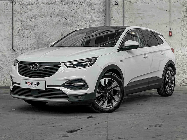 Opel grandland x 1.2 turbo bus. ex. 131pk 2019 (origineel-nl), g-520-dn - afbeelding 1 van  41