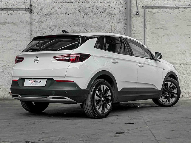 Opel grandland x 1.2 turbo bus. ex. 131pk 2019 (origineel-nl), g-520-dn - afbeelding 40 van  41