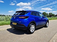 Opel grandland x 1.2 turbo business +, xz-133-k - afbeelding 37 van  40